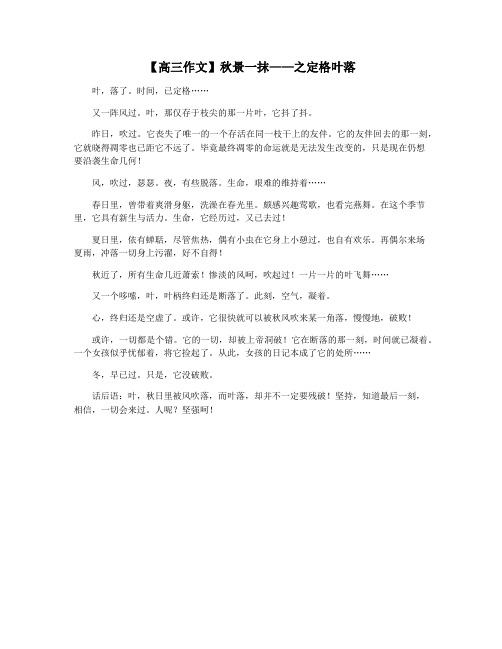 【高三作文】秋景一抹——之定格叶落