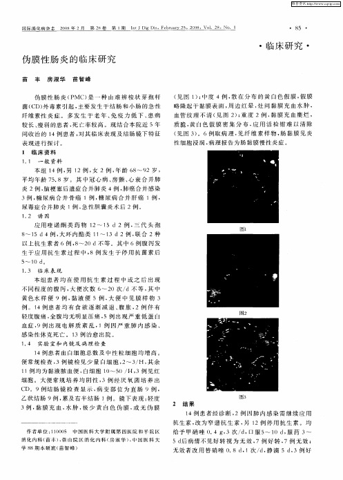 伪膜性肠炎的临床研究