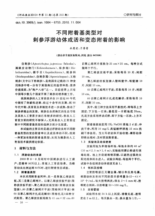 不同附着基类型对刺参浮游幼体成活和变态附着的影响