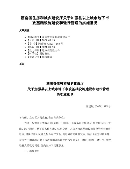 湖南省住房和城乡建设厅关于加强县以上城市地下市政基础设施建设和运行管理的实施意见