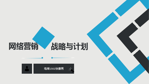 网络营销战略规划 ppt