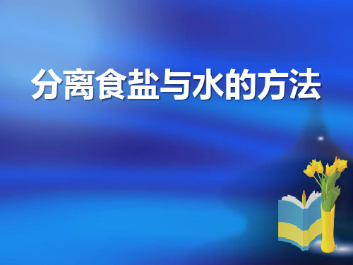 最新教科版四年级上册科学7分离食盐与水