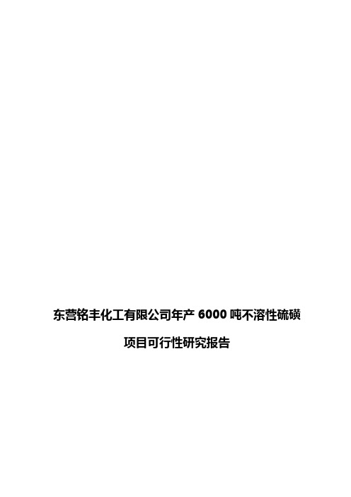 东营铭丰化工有限公司年产6000吨不溶性硫磺项目可行性研究报告