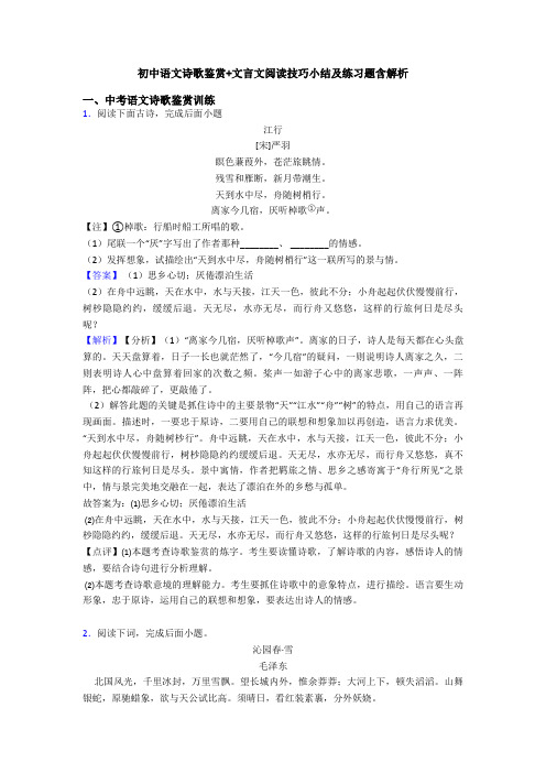 初中语文诗歌鉴赏+文言文阅读技巧小结及练习题含解析