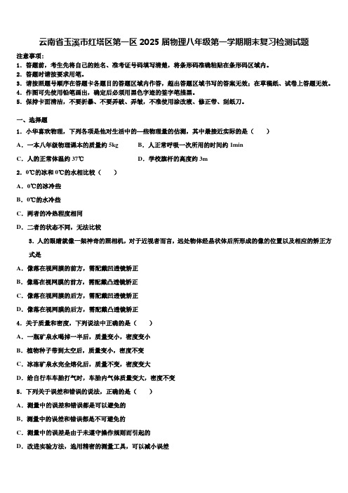 云南省玉溪市红塔区第一区2025届物理八年级第一学期期末复习检测试题含解析