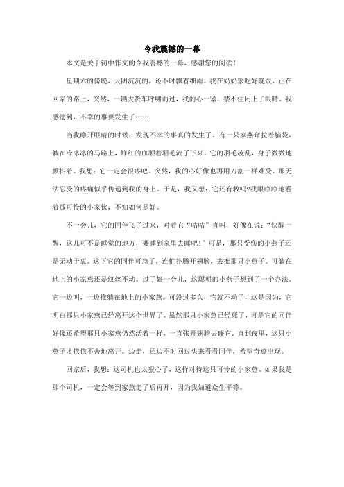 令我震撼的一幕_初中作文