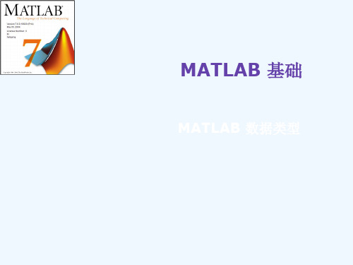 MATLAB的数据类型