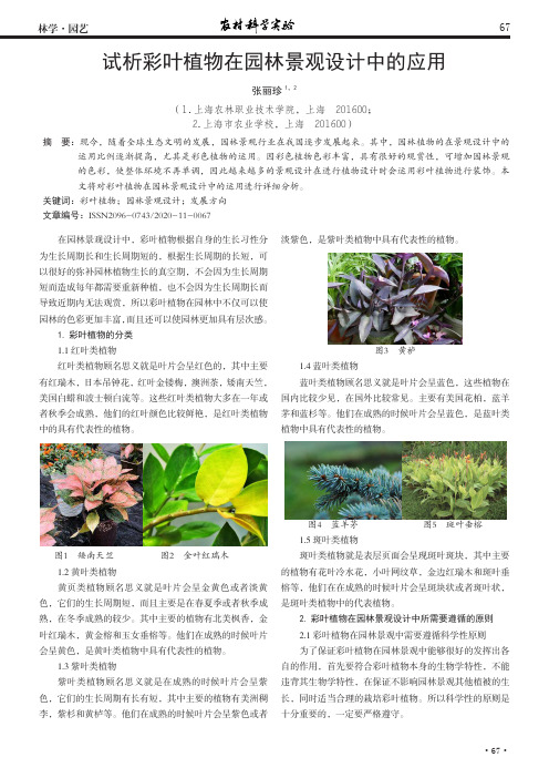 试析彩叶植物在园林景观设计中的应用