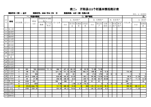 村集体经济统计总表