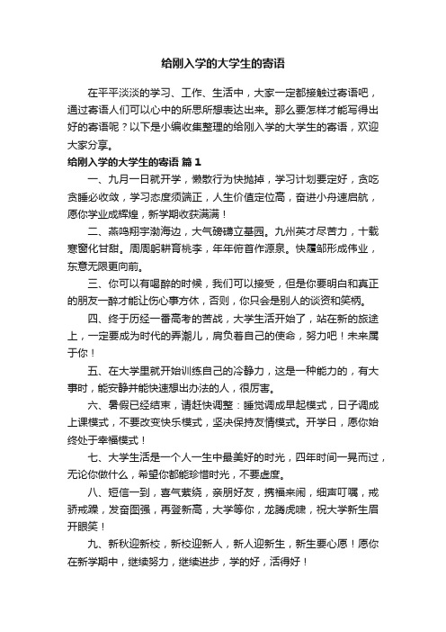 给刚入学的大学生的寄语