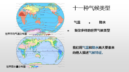 十一种气候类型