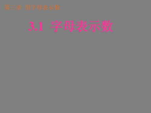 3.1 《字母表示数》课件 苏科版   (7)