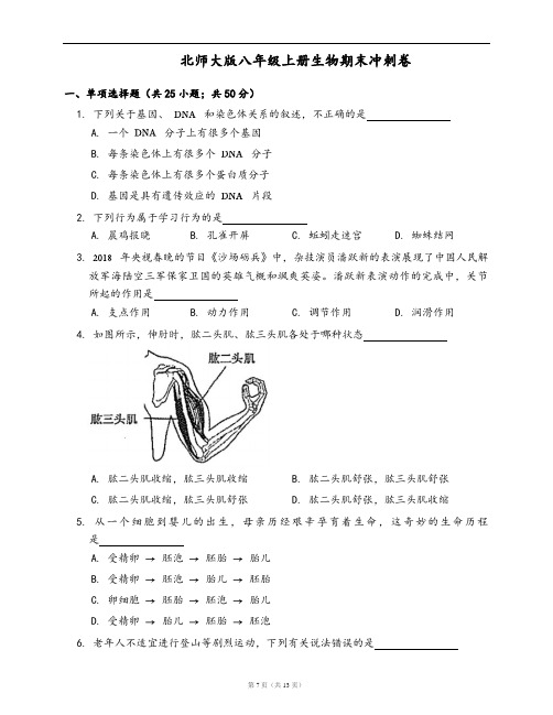 北师大版八年级上册生物期末冲刺卷(word版,含答案解析)