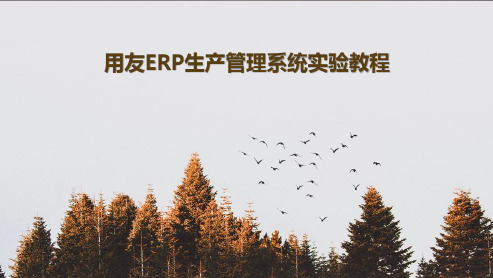 用友ERP生产管理系统实验教程