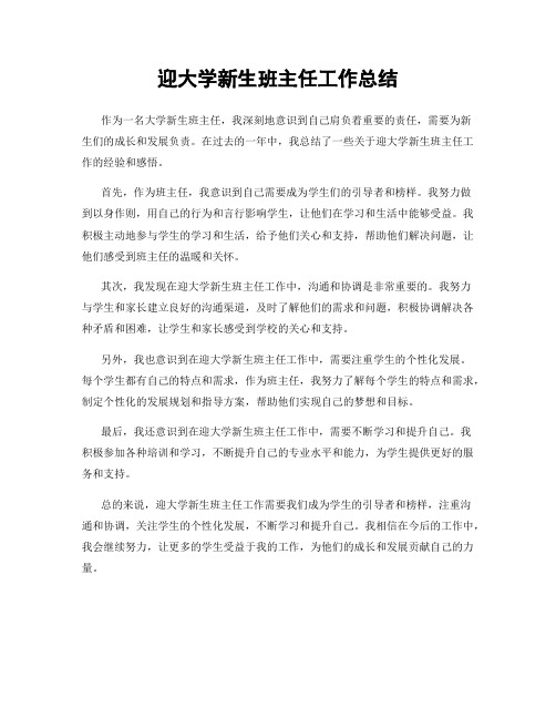 迎大学新生班主任工作总结