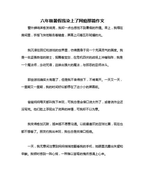 六年级暑假我染上了网瘾那篇作文