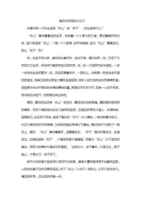 美观与实用的议论文