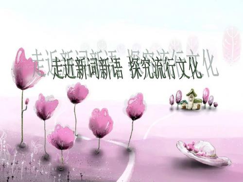 走近新词新语探究流行文化