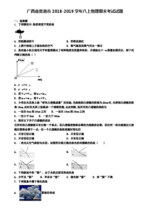 广西省贵港市2018-2019学年八上物理期末考试试题
