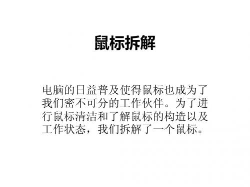 鼠标拆解