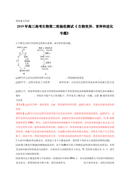 教师版-2019年高三高考生物第二轮验收测试《 生物变异、育种和进化专题》