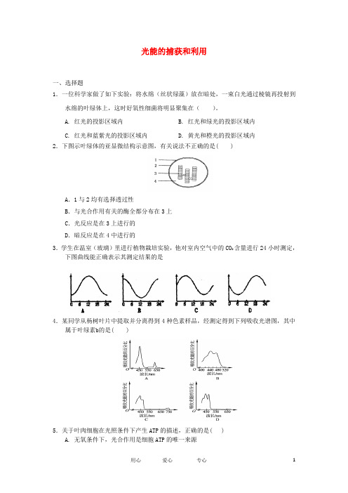 高中生物 3.2.3 光能的捕获和利用 4每课一练 中图必修1