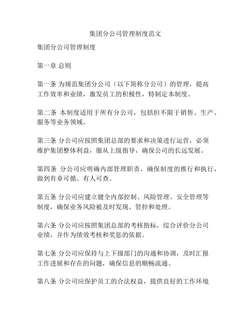 集团分公司管理制度范文