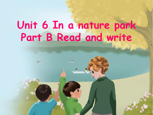 人教版PEP英语五年级上册Unit6 In a nature park B read and write课件等