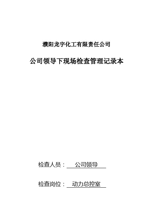 公司 领导下现场检查记录本(动力,40页)