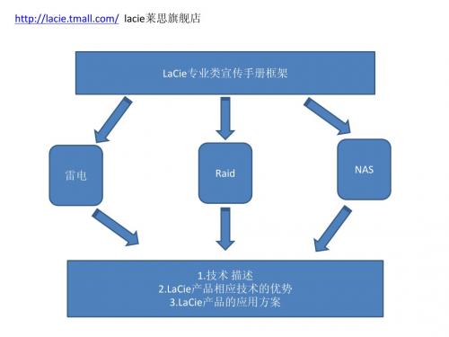 LaCie专业类宣传手册框架