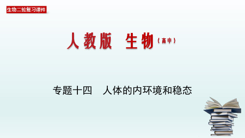 人体的内环境和稳态-2020年高考备考生物二轮复习课件(共29张PPT)