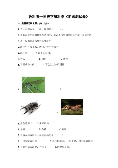 教科版一年级下册科学《期末测试卷》完美版