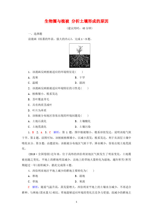 2022版新教材鲁教版高考地理一轮复习—生物圈与植被分析土壤形成的原因含解析