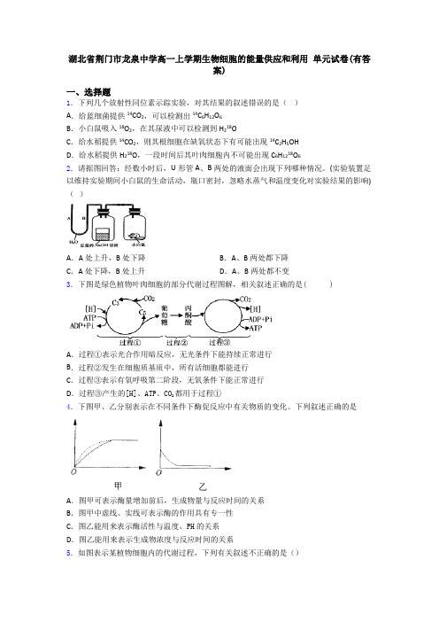 湖北省荆门市龙泉中学高一上学期生物细胞的能量供应和利用 单元试卷(有答案)