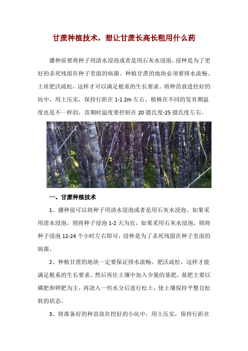 甘蔗种植技术,想让甘蔗长高长粗用什么药