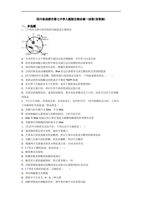 四川省成都市第七中学人教版生物必修一试卷(含答案)