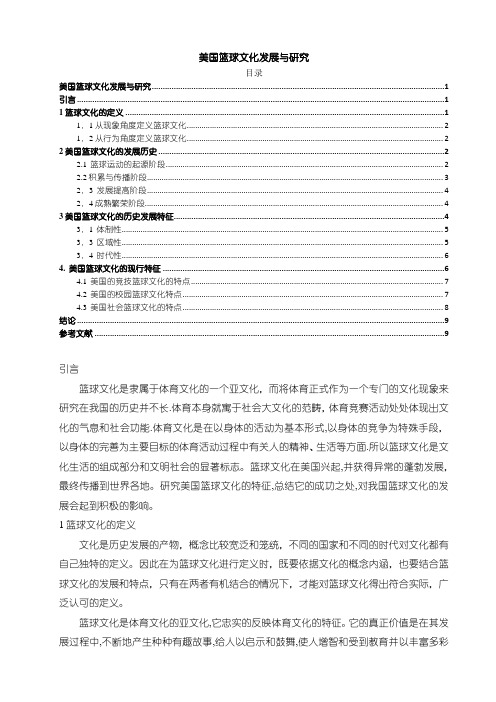 《美国篮球文化发展与研究9300字》