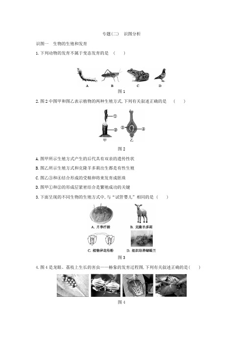 人教版八年级生物下册专题复习训练：专题(二) 识图分析(解析版)