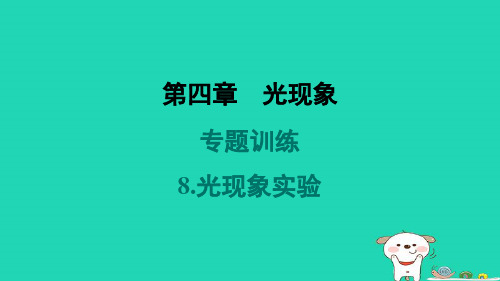 山西省2024八年级物理上册第四章光现象专题训练8.光现象实验课件新版新人教版