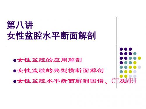 女性盆腔水平断面解剖PPT课件