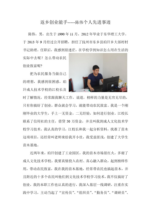 返乡创业能手-----陈伟个人先进事迹