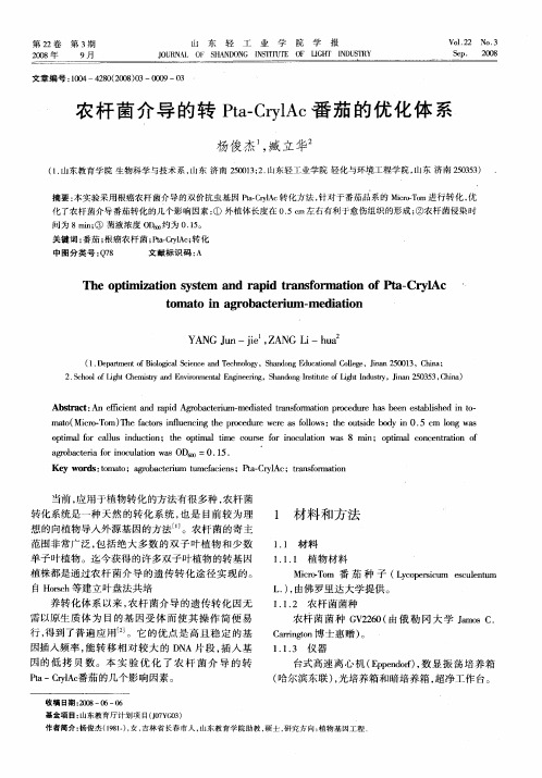 农杆菌介导的转Pta-CrylAc番茄的优化体系