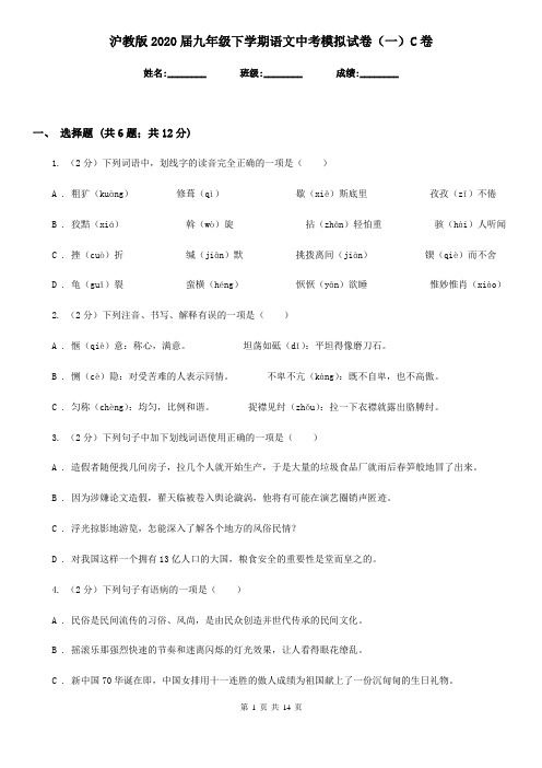 沪教版2020届九年级下学期语文中考模拟试卷(一)C卷