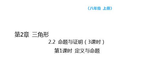 2.2+命题与证明+第1课时+定义与命题+课件++++2024—2025学年湘教版数学八年级上册