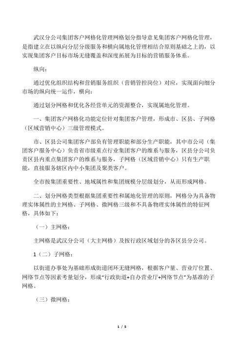 中国XX通信集团XX分公司集团客户网格化管理网格划分指导意见