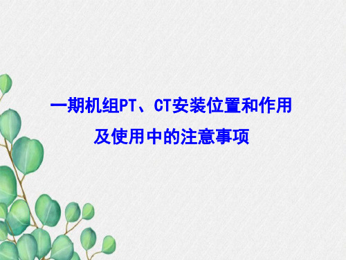 一期发电机出口PT、CT的安装位置和作用、使用中的注意问题分解