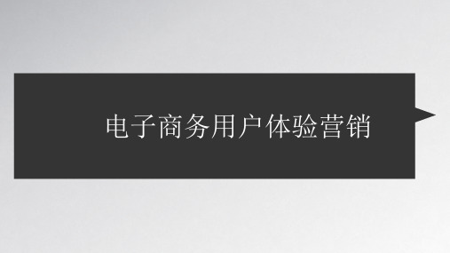 电子商务用户体验营销-112页文档资料