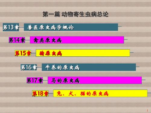 动物寄生虫病学第13-18章 兽医原虫病