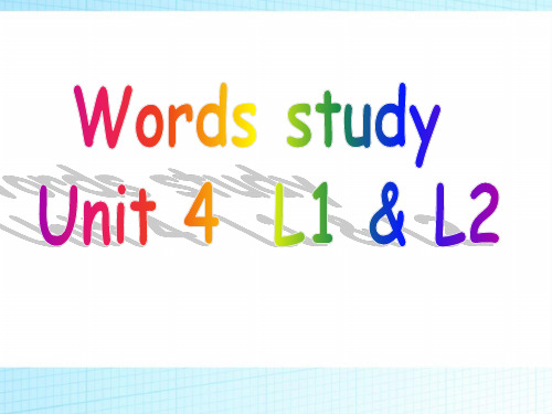广东省佛山市超盈实验中学北师大版高一英语必修二课件:Unit4 Cyberspace L1 L2 Words Study