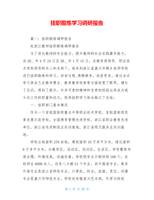 挂职锻炼学习调研报告